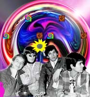 ampex_vortex