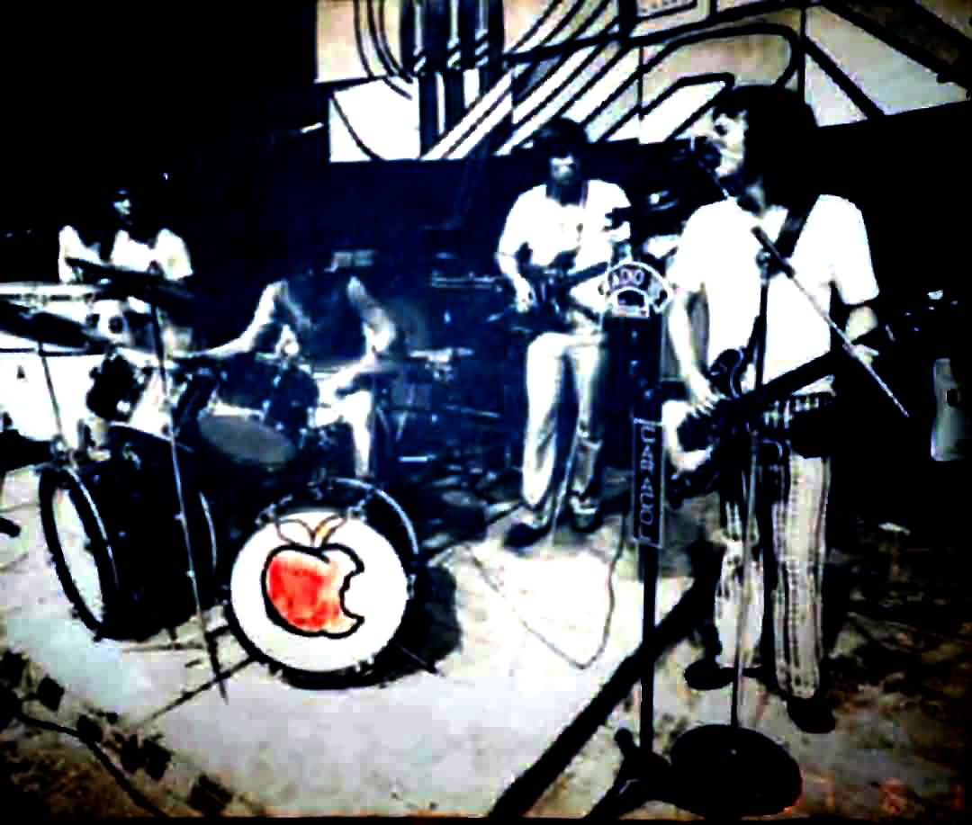 Ankora - Live Performance