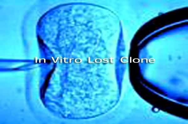 In Vitro Lost - Clone